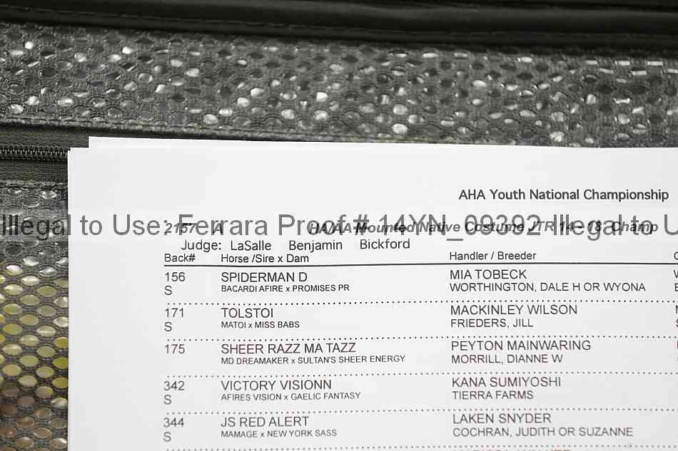 Proof Number 14yn_09392
