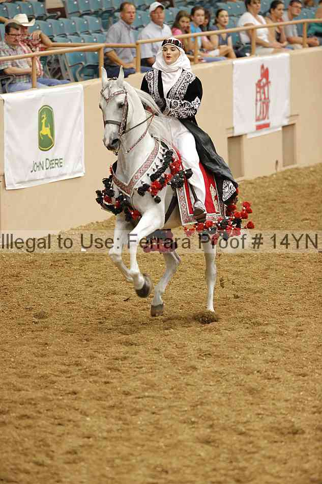 Proof Number 14yn_09418