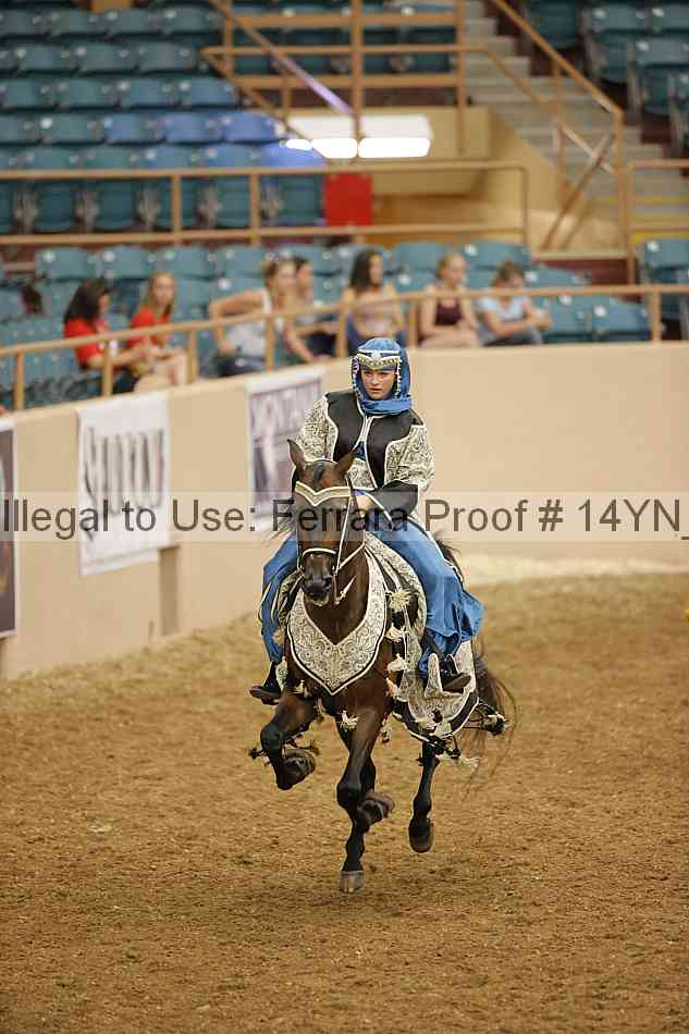 Proof Number 14yn_09438
