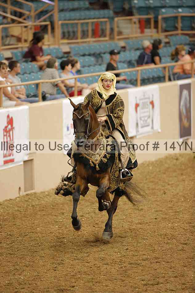 Proof Number 14yn_09508