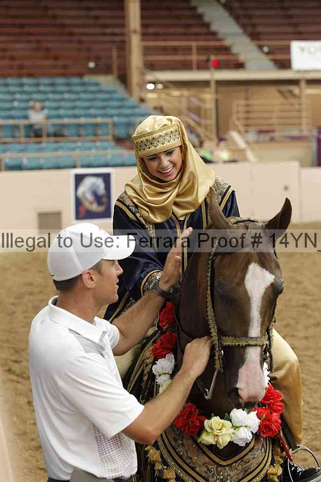 Proof Number 14yn_24094