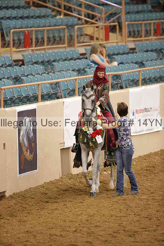 Proof Number 14yn_28491