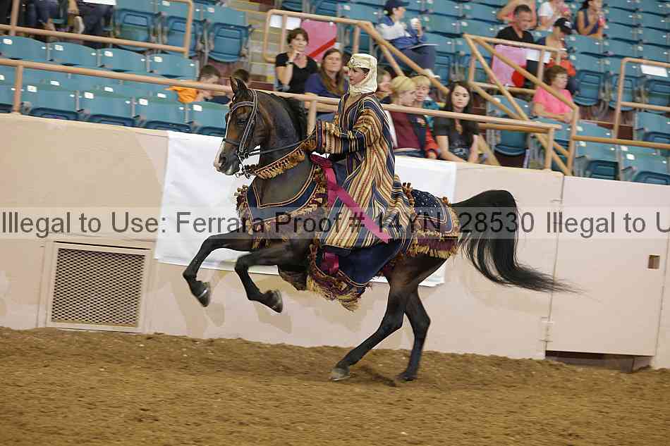 Proof Number 14yn_28530