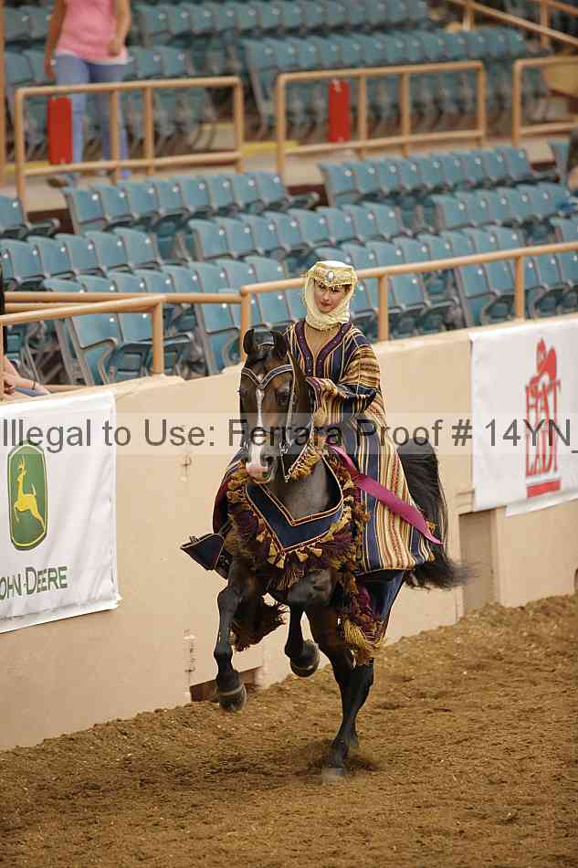 Proof Number 14yn_28531