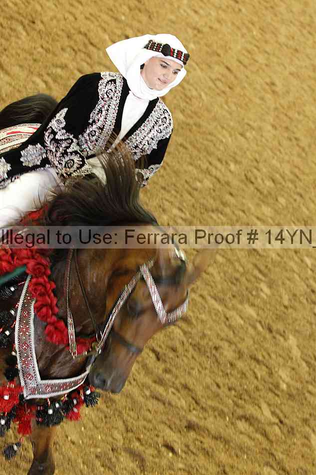 Proof Number 14yn_28572