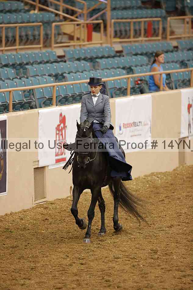 Proof Number 14yn_08691