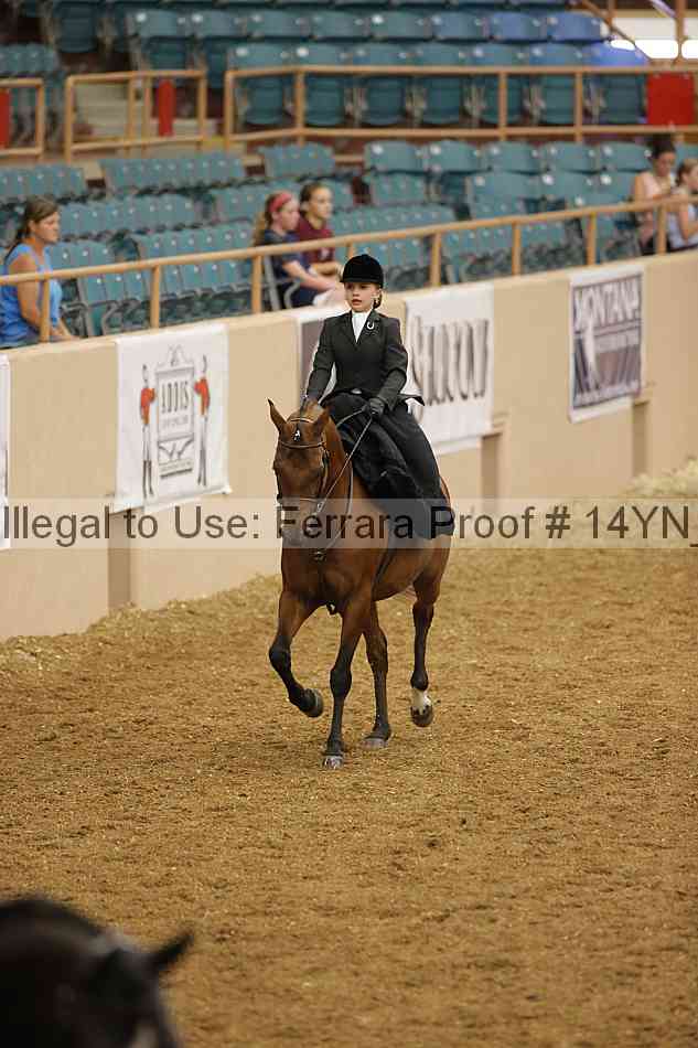 Proof Number 14yn_08703