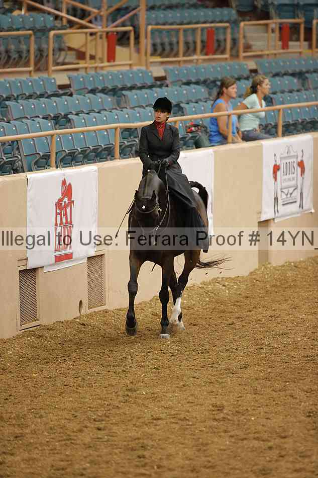 Proof Number 14yn_08705
