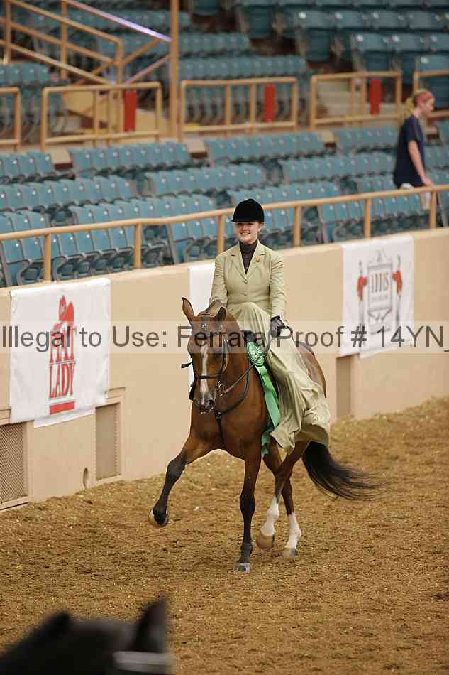 Proof Number 14yn_08802