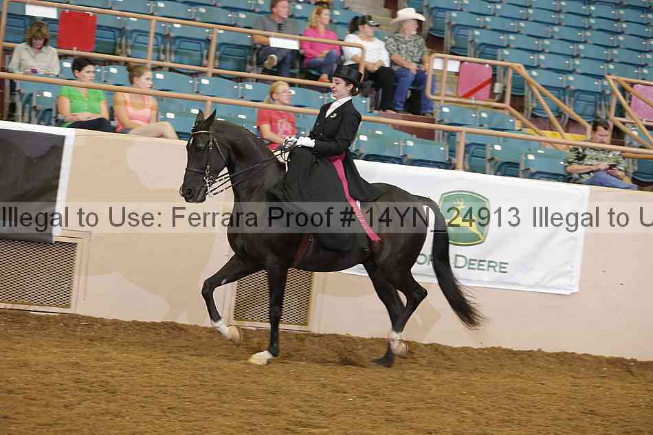 Proof Number 14yn_24913