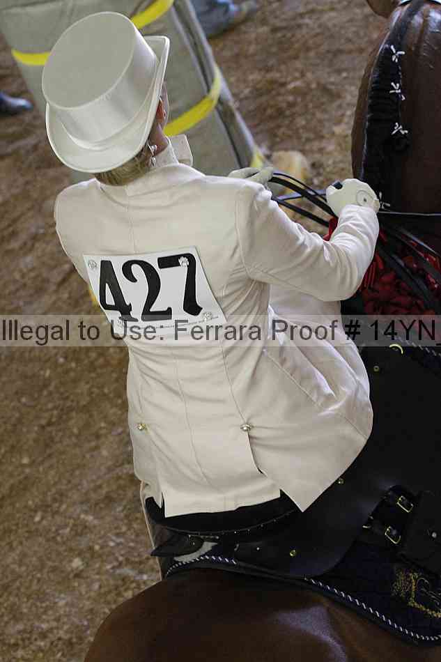 Proof Number 14yn_24955