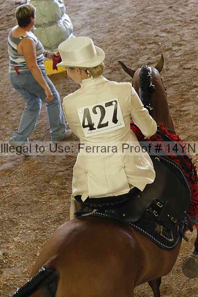 Proof Number 14yn_24957
