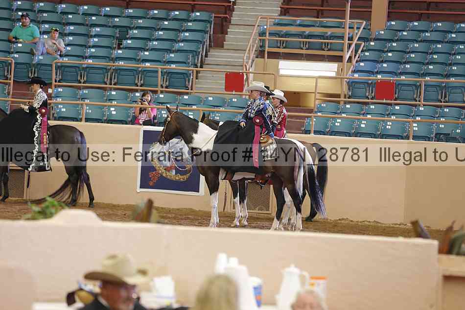 Proof Number 14yn_28781