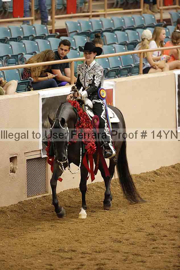 Proof Number 14yn_30405