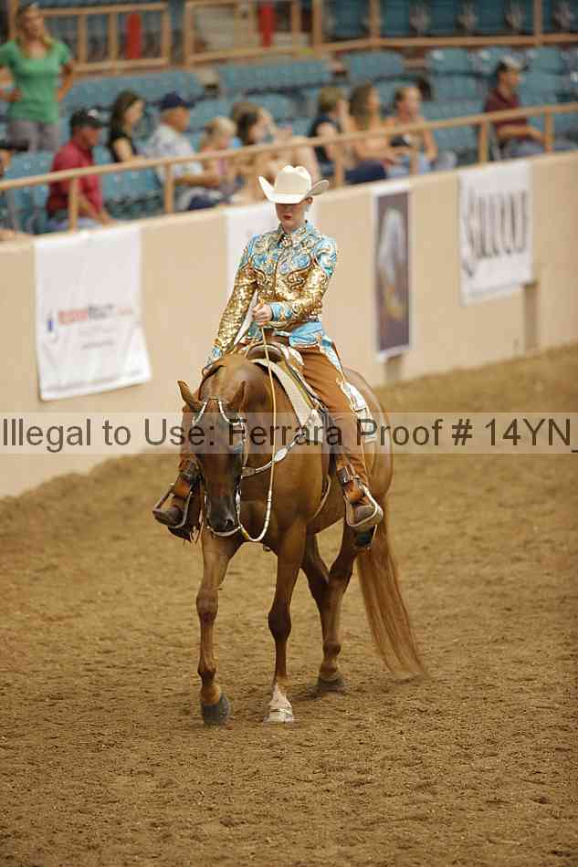 Proof Number 14yn_25245