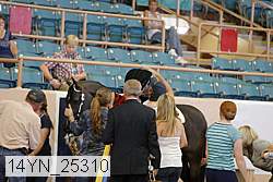 14yn_25310 thumbnail