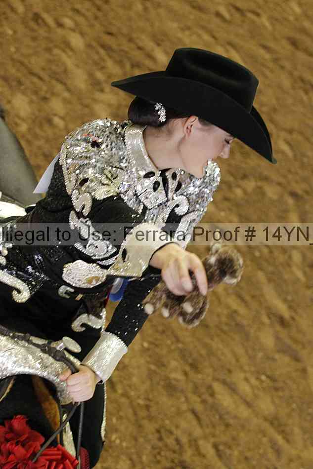 Proof Number 14yn_25389