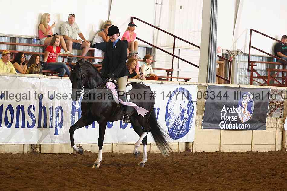 Proof Number 14yn_06344
