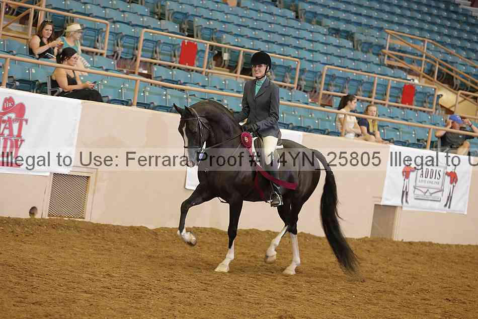 Proof Number 14yn_25805
