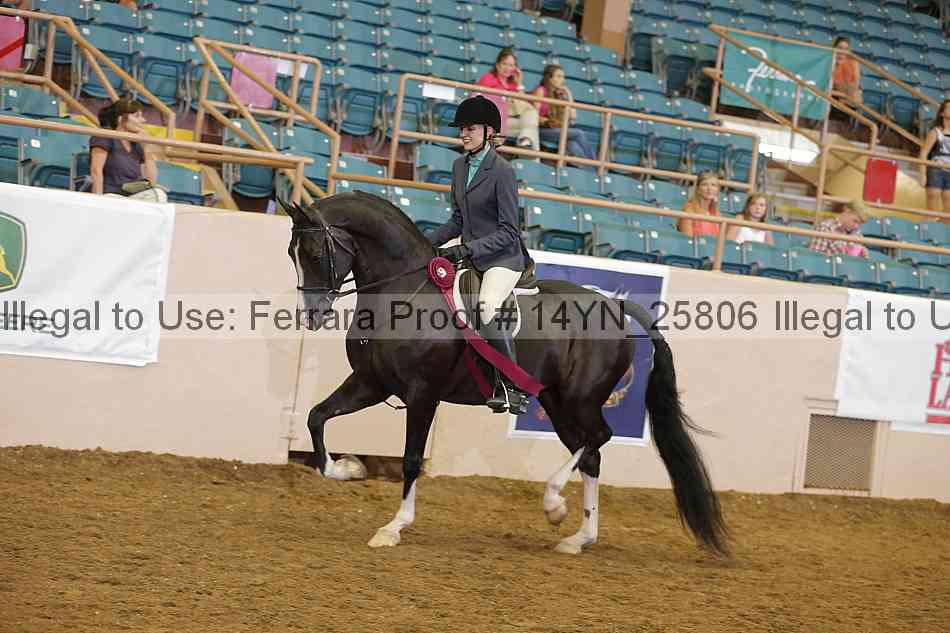 Proof Number 14yn_25806