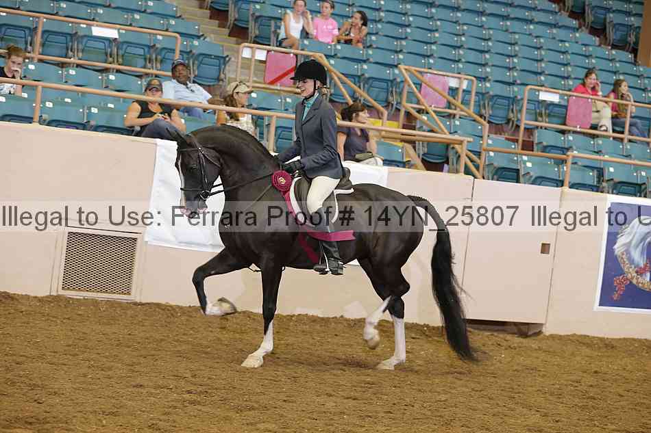 Proof Number 14yn_25807