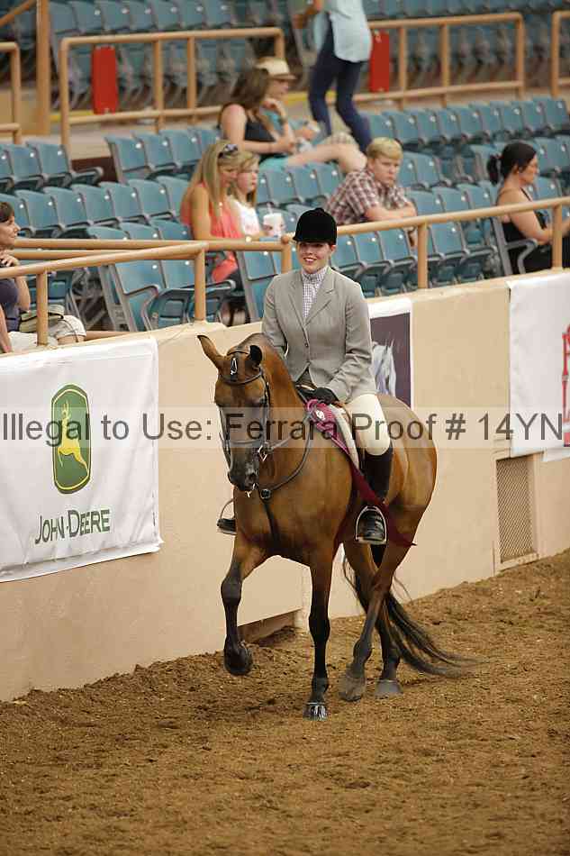 Proof Number 14yn_25830
