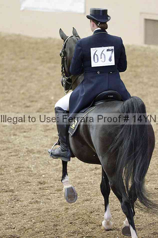 Proof Number 14yn_02256