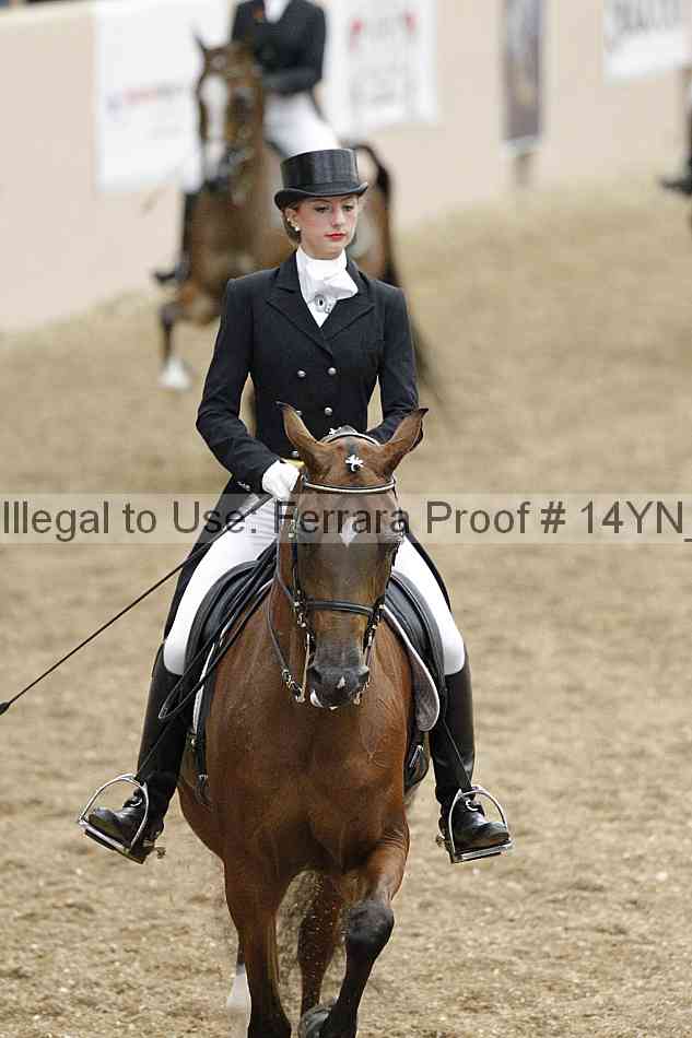 Proof Number 14yn_02308
