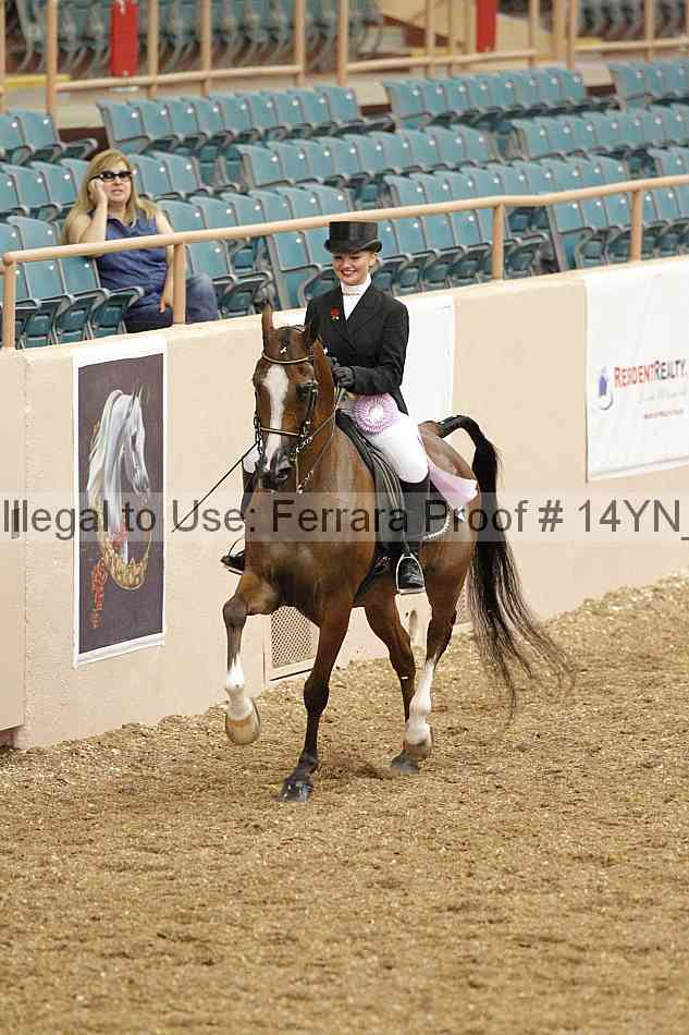 Proof Number 14yn_02355