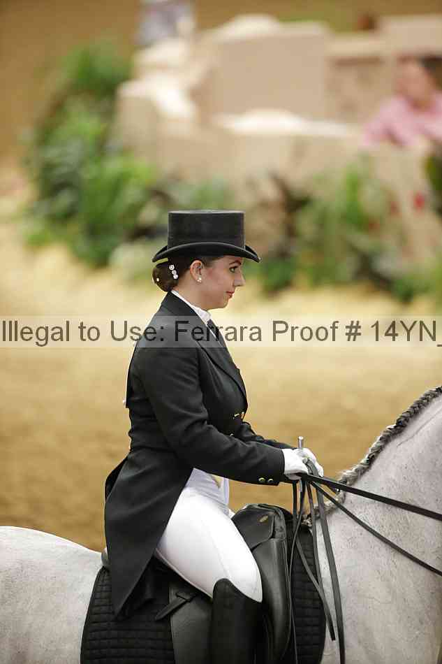 Proof Number 14yn_11861