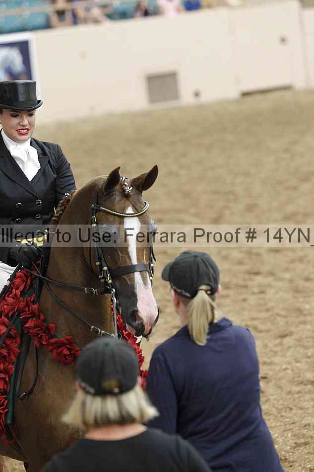 Proof Number 14yn_11939