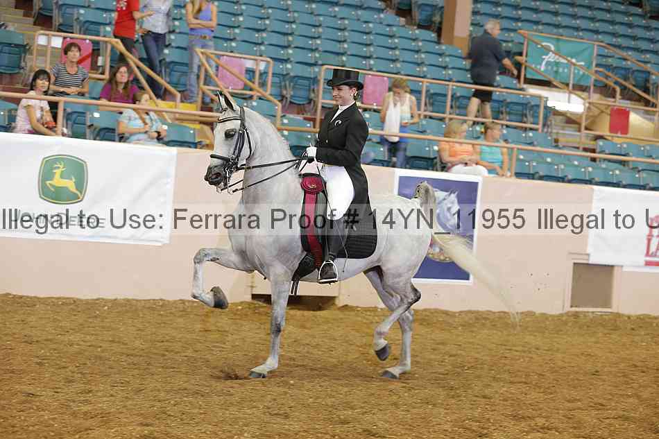 Proof Number 14yn_11955