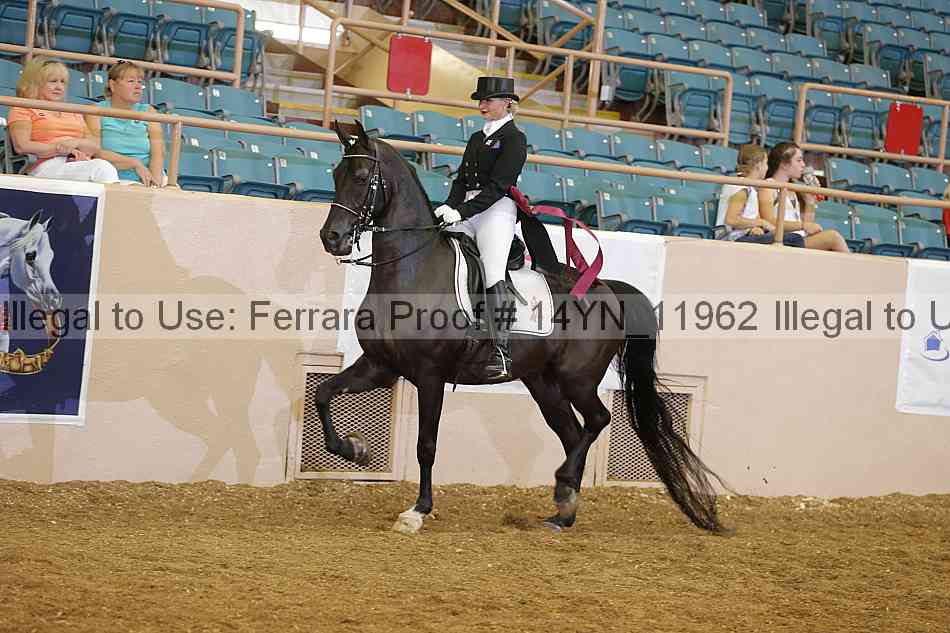 Proof Number 14yn_11962