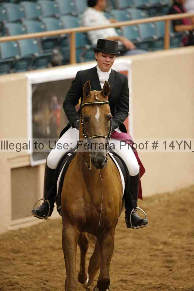Proof Number 14yn_11991