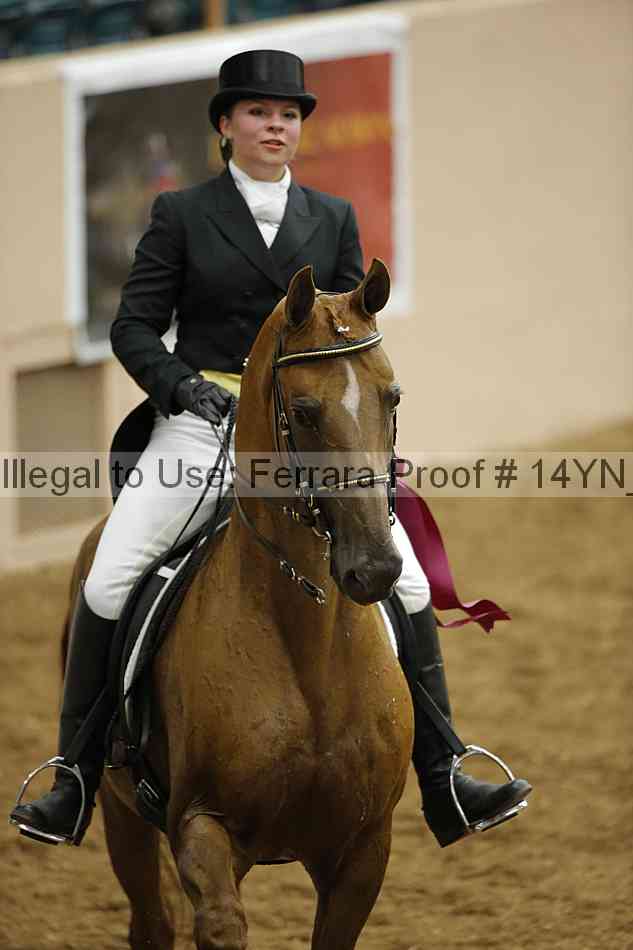 Proof Number 14yn_11992