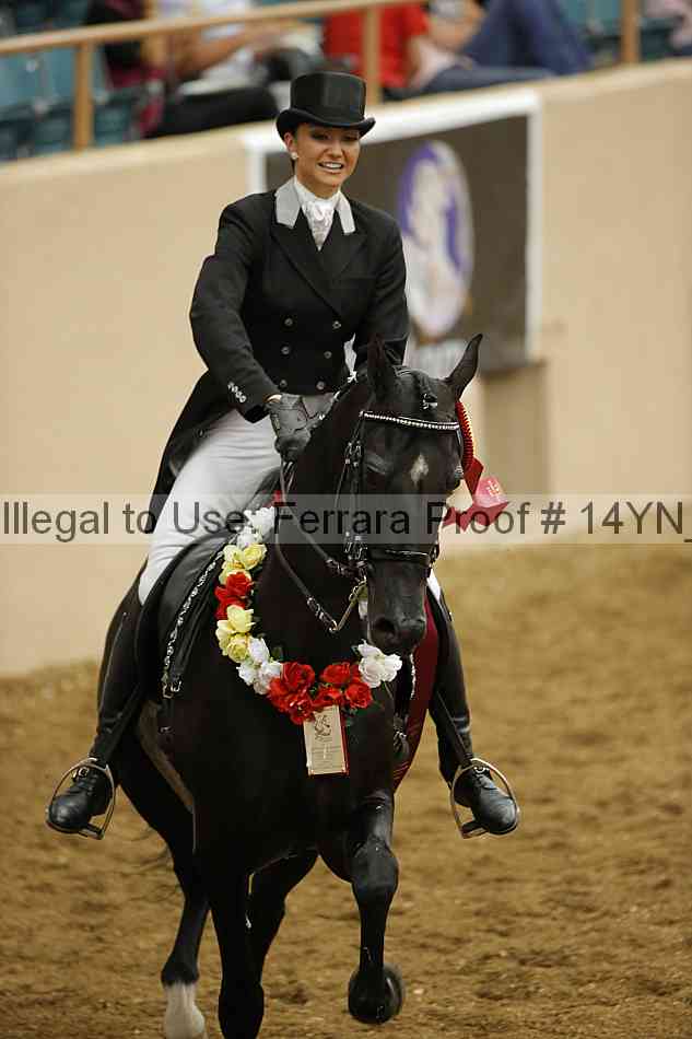 Proof Number 14yn_12005