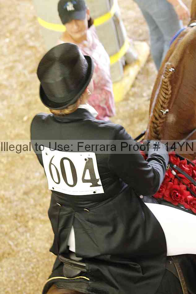 Proof Number 14yn_12023
