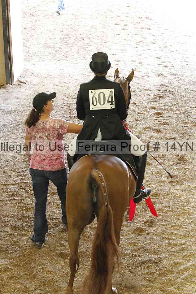 Proof Number 14yn_12028