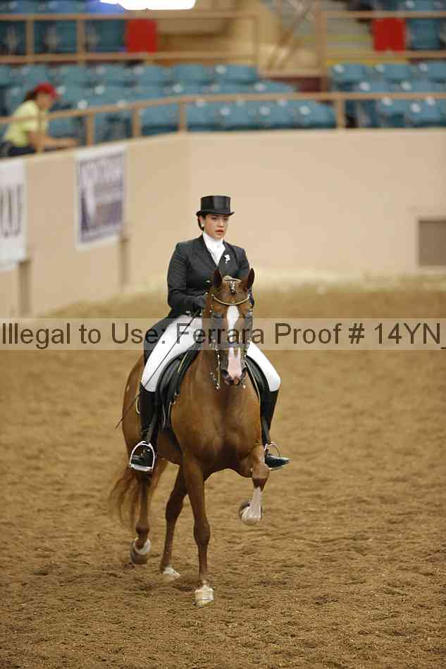 Proof Number 14yn_16244