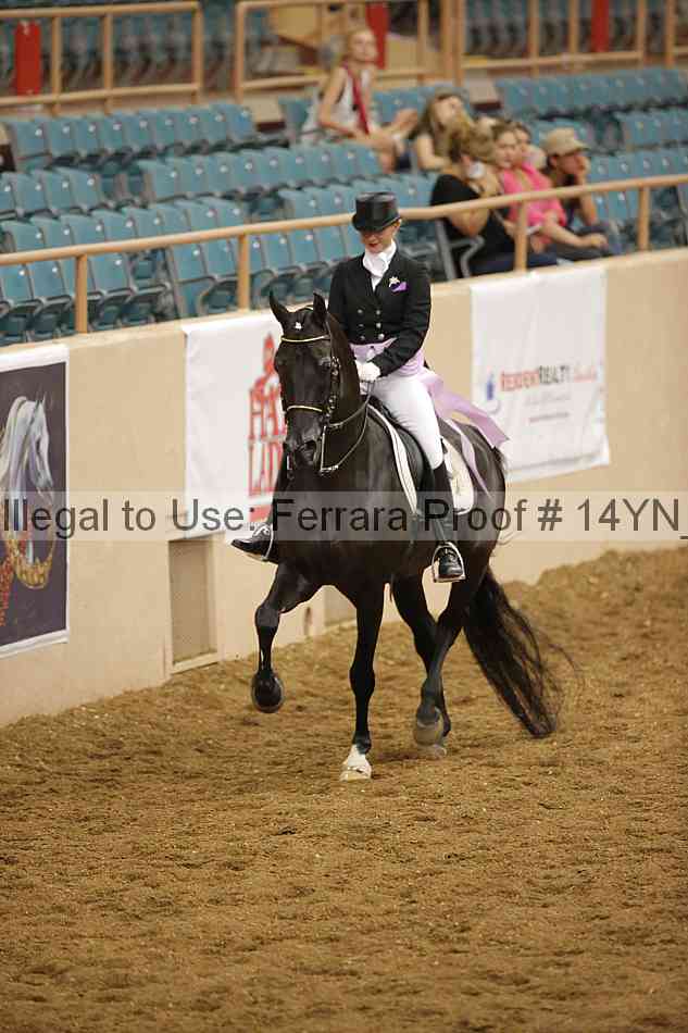 Proof Number 14yn_16280