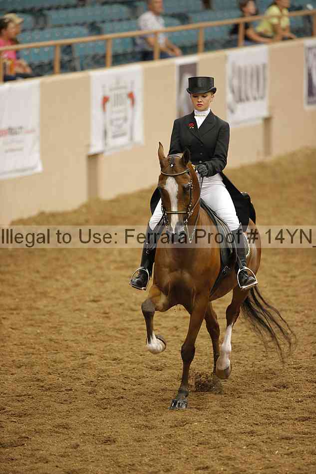 Proof Number 14yn_16338