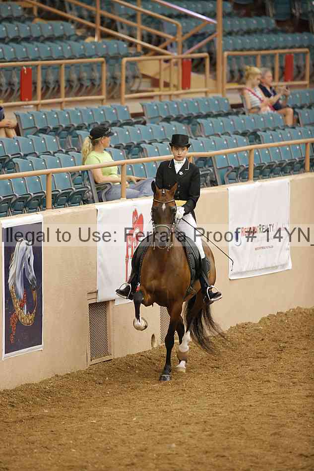 Proof Number 14yn_17796