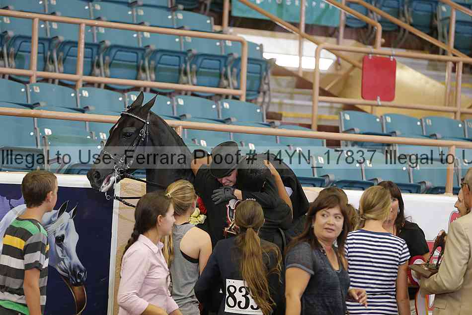 Proof Number 14yn_17837