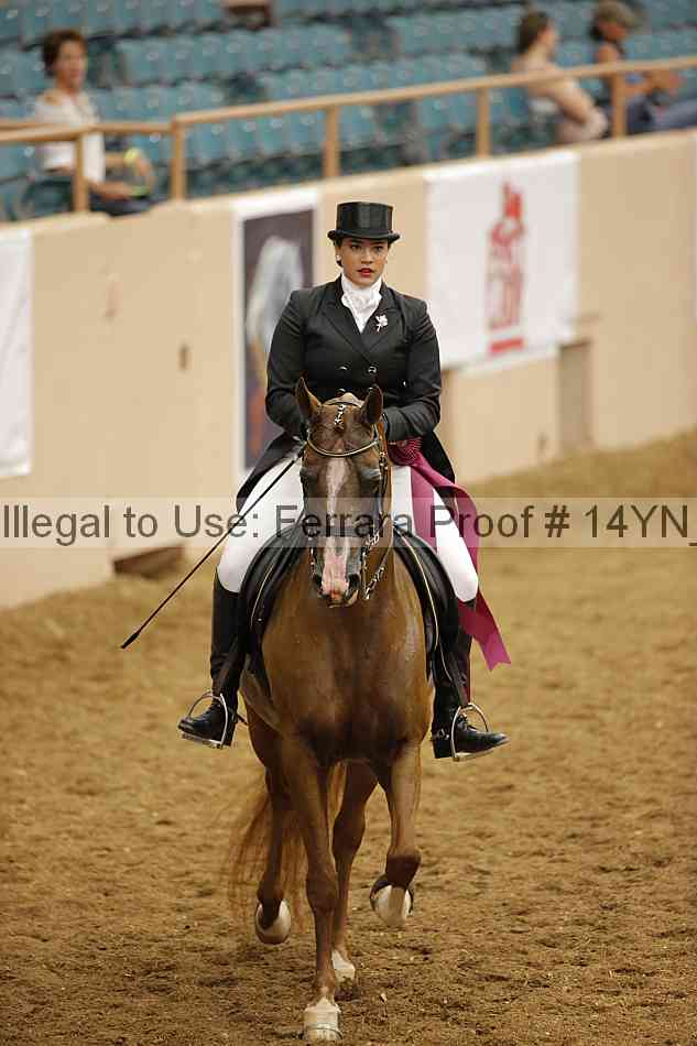 Proof Number 14yn_17916