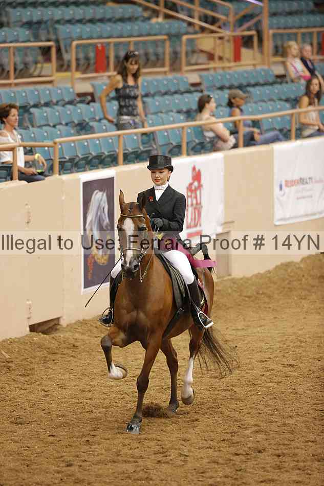 Proof Number 14yn_17922