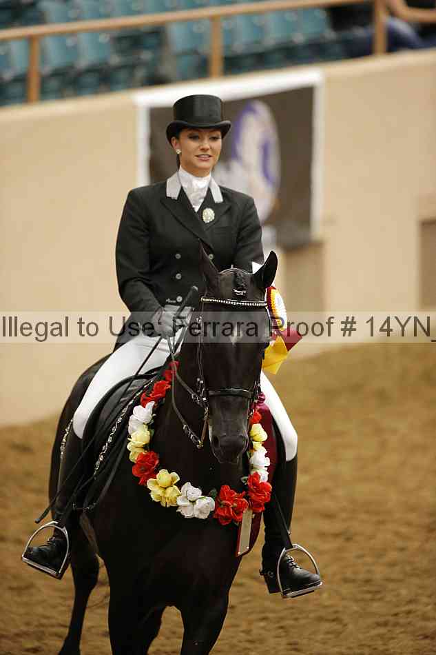 Proof Number 14yn_17931