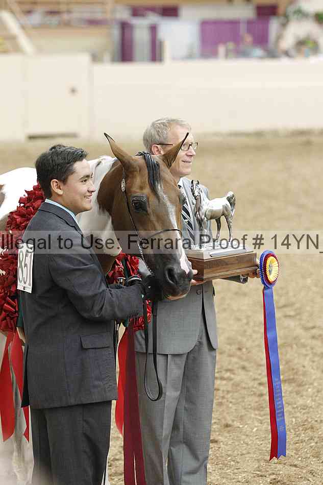 Proof Number 14yn_08509