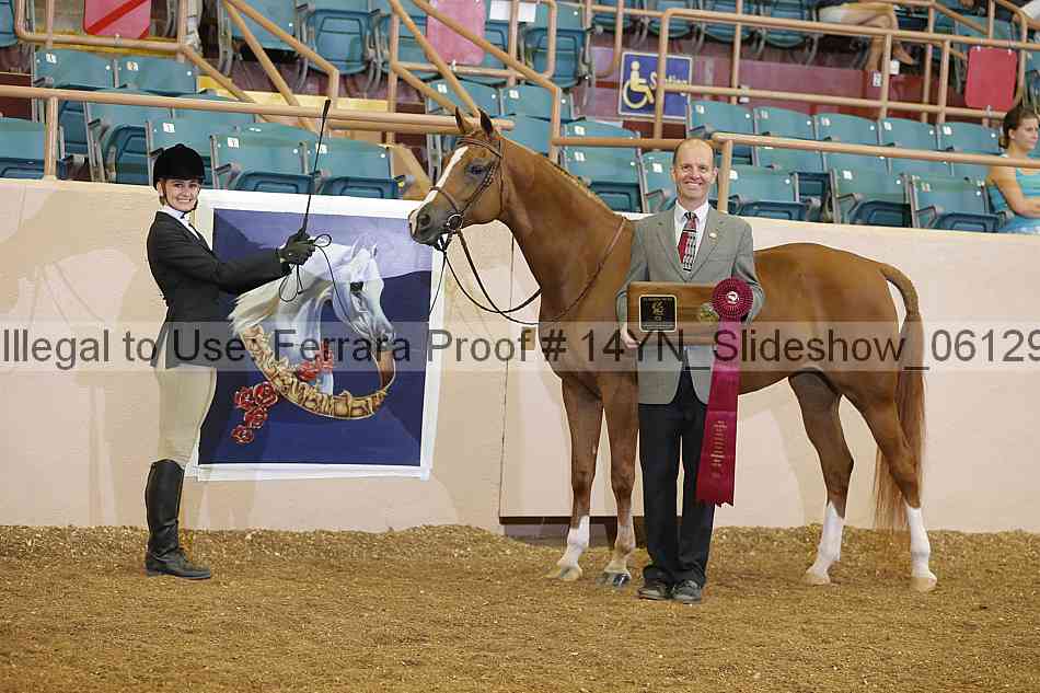 Proof Number 14yn_slideshow_06129