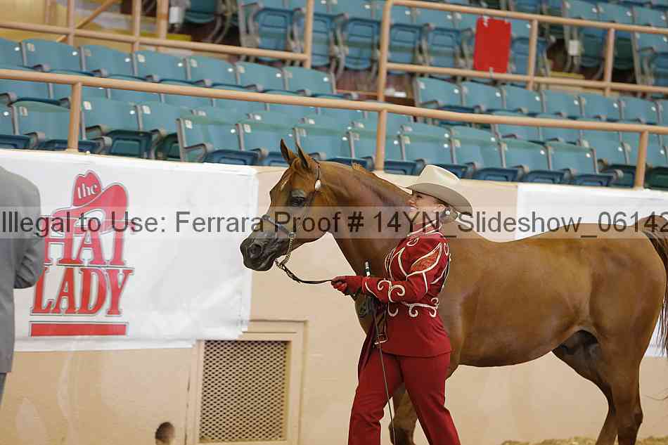 Proof Number 14yn_slideshow_06142