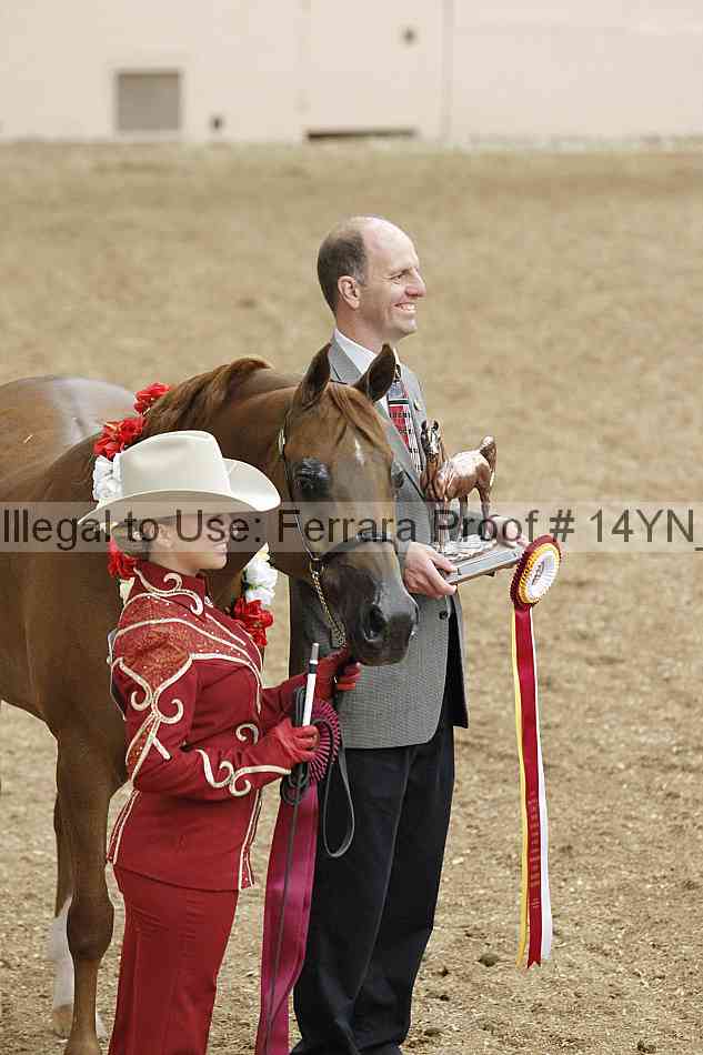 Proof Number 14yn_slideshow_06148